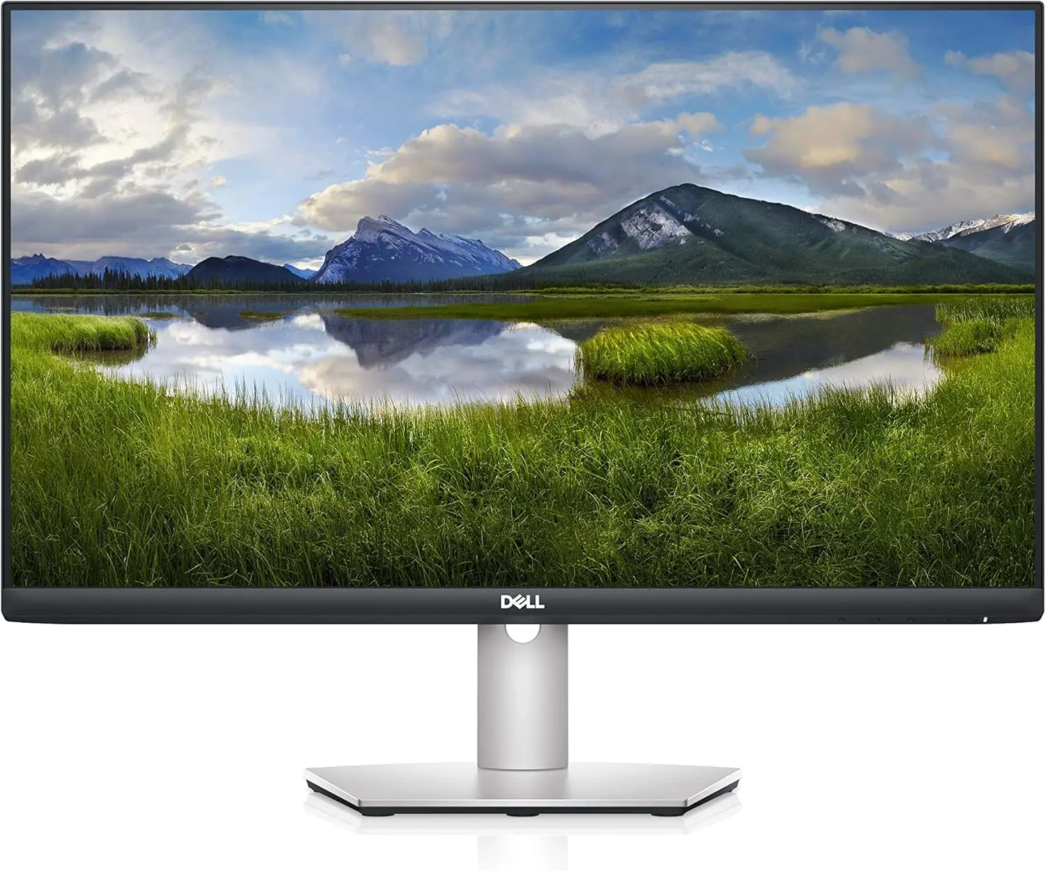 Dell 24 Monitor - S2421HS